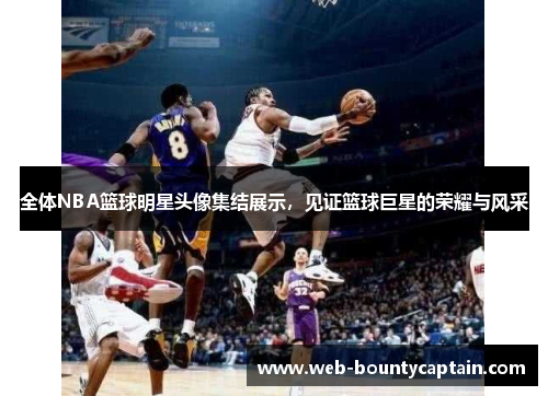 全体NBA篮球明星头像集结展示，见证篮球巨星的荣耀与风采
