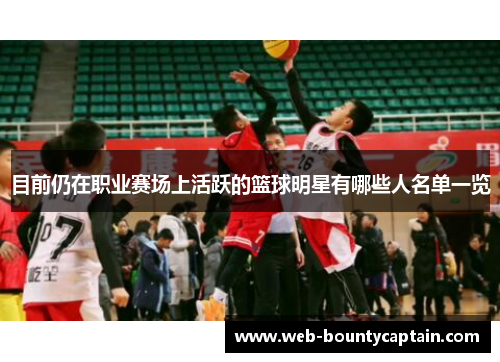 目前仍在职业赛场上活跃的篮球明星有哪些人名单一览