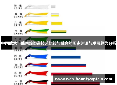 中国武术与韩国跆拳道技艺比较与融合的历史渊源与发展趋势分析