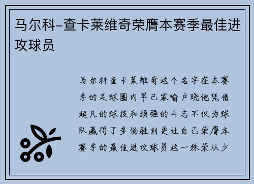 马尔科-查卡莱维奇荣膺本赛季最佳进攻球员